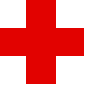 中国红十字志愿者登记表1