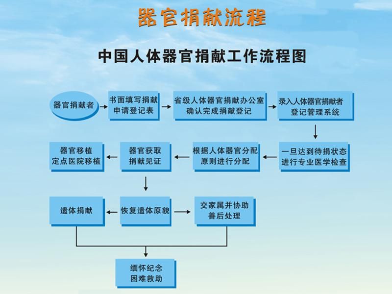 器官捐献