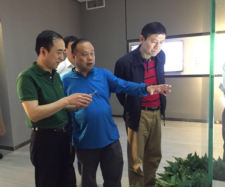 中国红十字会副会长王海京来景调研