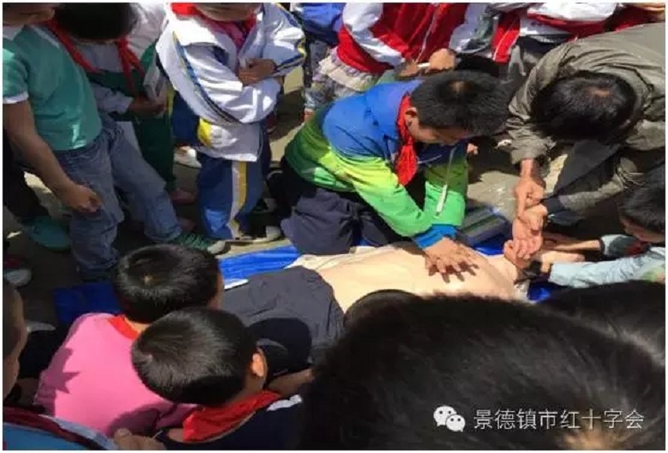 红十字在行动，“5·8”“5·12”系列活动内容丰富多彩