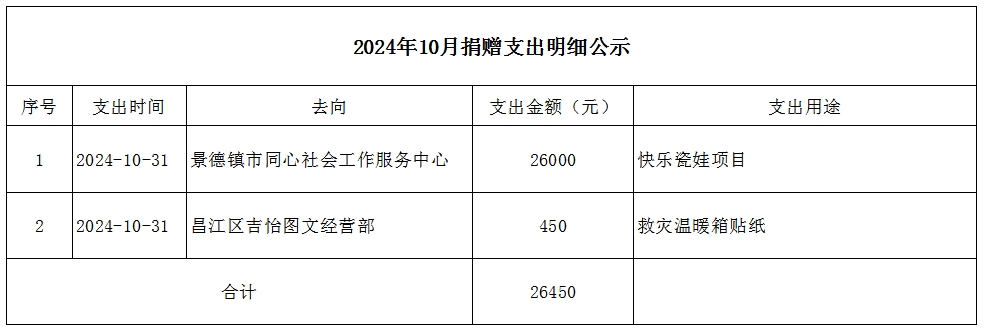 2024年10月捐赠支出明细公示