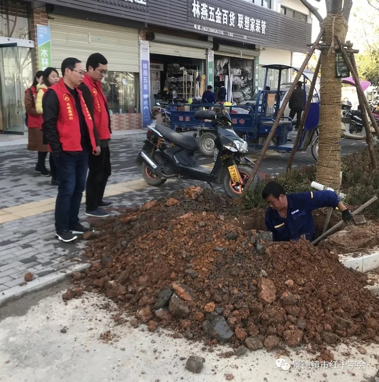 “健步走 美生活 护平安”——景德镇红十字开展巡查整治活动十二