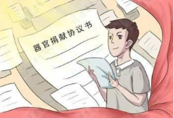 人体捐献和移植知识