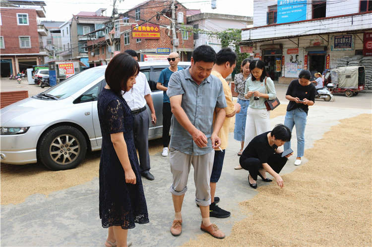我为群众办实事，巩固衔接助振兴——市红十字会开展主题党日活动