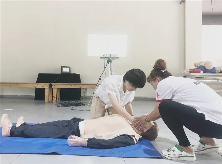 【打造模范机关在行动】党建引领促提升,为红十字事业发展注入“红色动能”