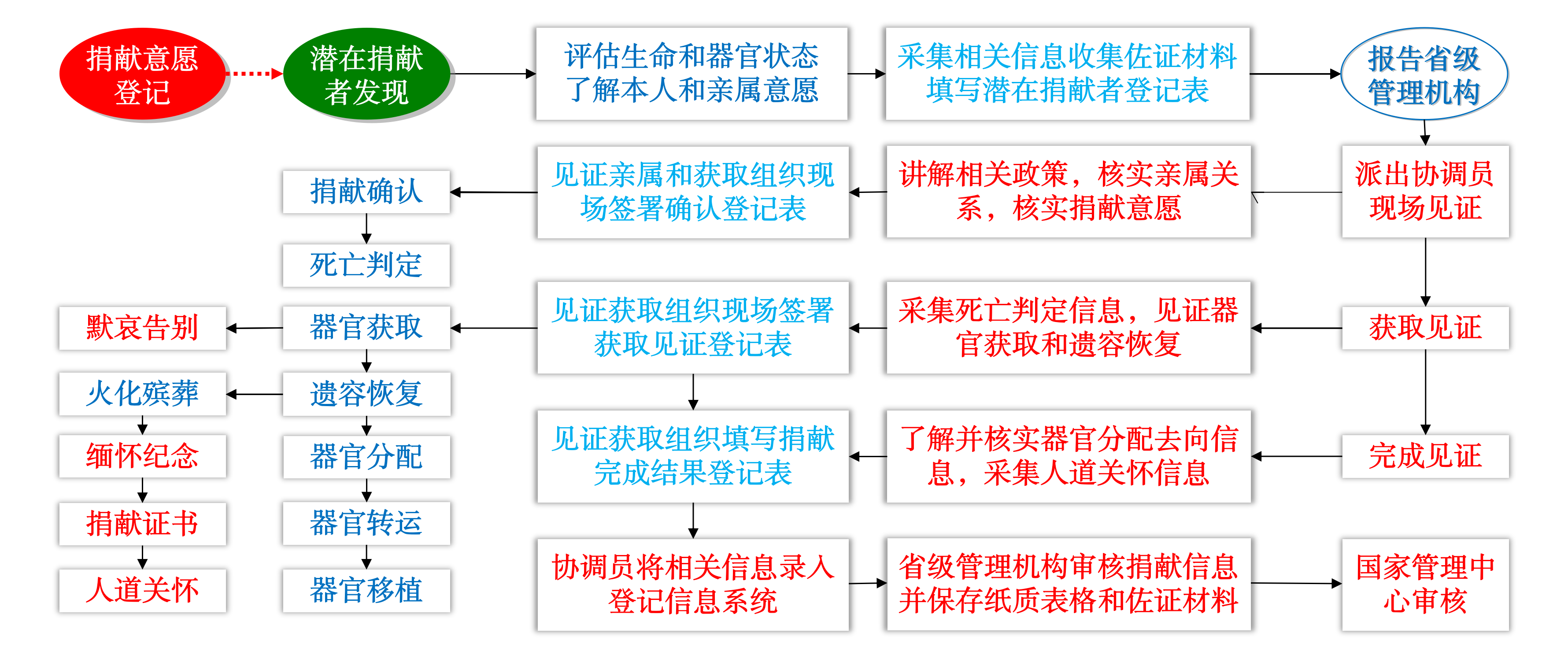 人体器官捐献流程图.png